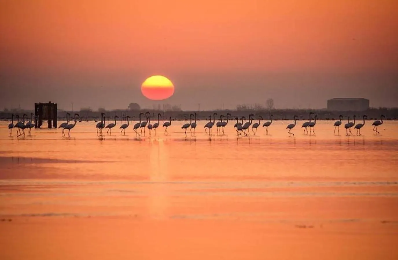 Сasa de vacaciones Villa Casa2Patis El Poble Nou del Delta España